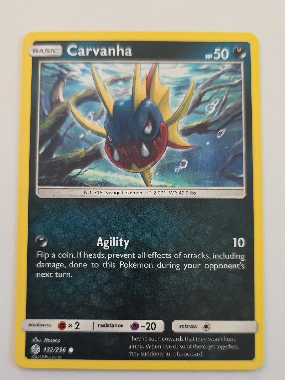 Pokemon Carvanha And Sharpedo Card Set